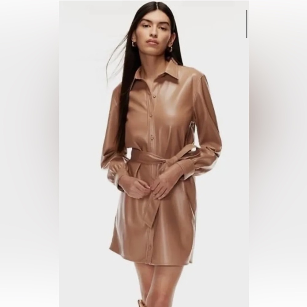 Aritzia Babaton Caroline Leather Dress